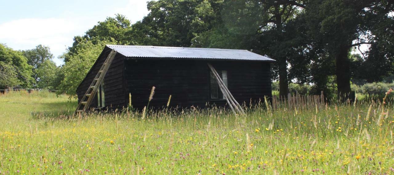 The Old Apple Shed Cosy Heated Cottage In A Meadow Close To The Charming Village Of Bethersden Ashford  Exterior photo